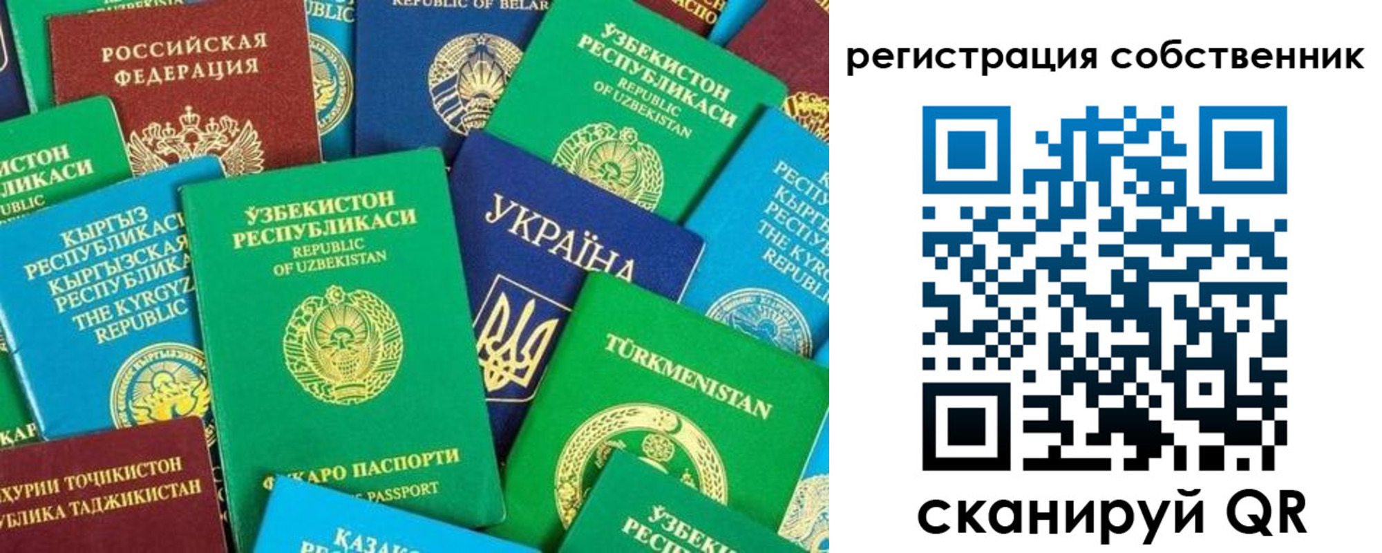 прописка в Цимлянске
